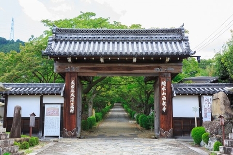 『豊臣兄弟！』にあわせ実現　滋賀・西教寺「客殿」内部、史上初一般公開　「秀吉公の玉座の間」「光秀の唯一現存する肖像画の実物」など披露へ【概要】