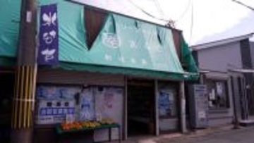 大阪43市町村の「最も創業が古い店」 13代目、17代目…第1位は「鎌倉時代末期創業」  今夜テレビ放送