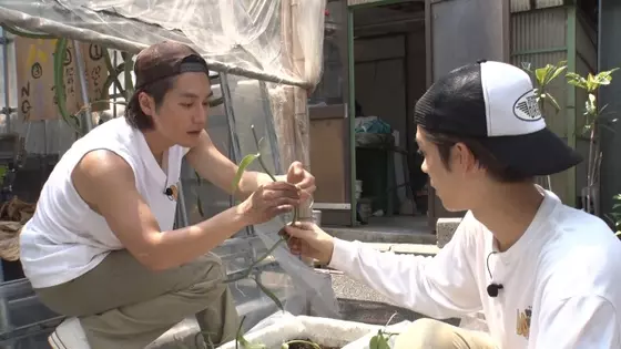 松田元太 奇跡の天然バニラ栽培に挑戦