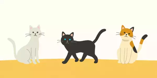イオンモール熊本の猫カフェ「MOFF」から救出された猫25頭、広島店舗に到着　現在の様子を報告【令和8年熊本地震】