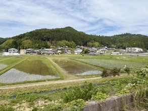村上信五の番組での出会いがきっかけ… 高槻の土壌に“有用な微生物群”を確認　ぶとう苗木植え付け実証を開始