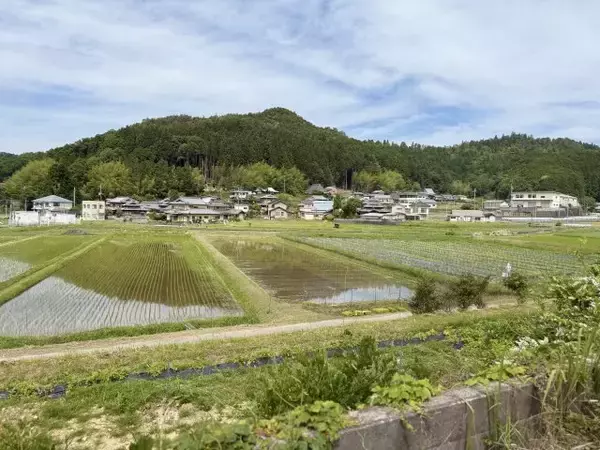 村上信五の番組での出会いがきっかけ… 高槻の土壌に“有用な微生物群”を確認　ぶとう苗木植え付け実証を開始