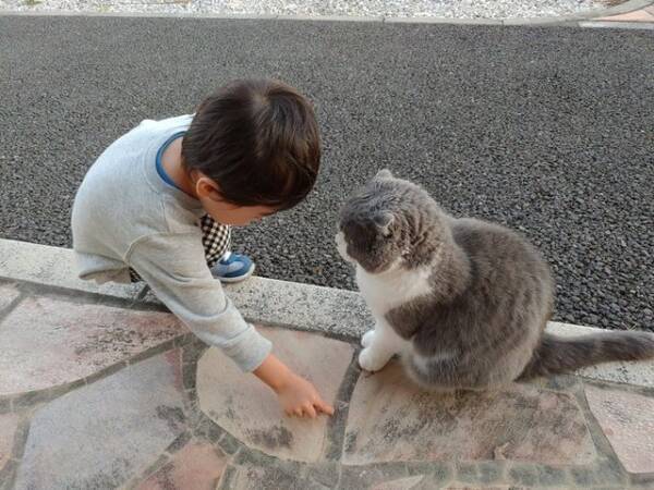 育児衝撃画像 保育園まで迎えに来てほしくて 道を教える息子 と 真剣