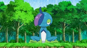 アニメ ポケモン ゴウのフラべべ 一斉にフラエッテへ進化 ある事情でカロス地方へ 66話 21年5月13日 エキサイトニュース