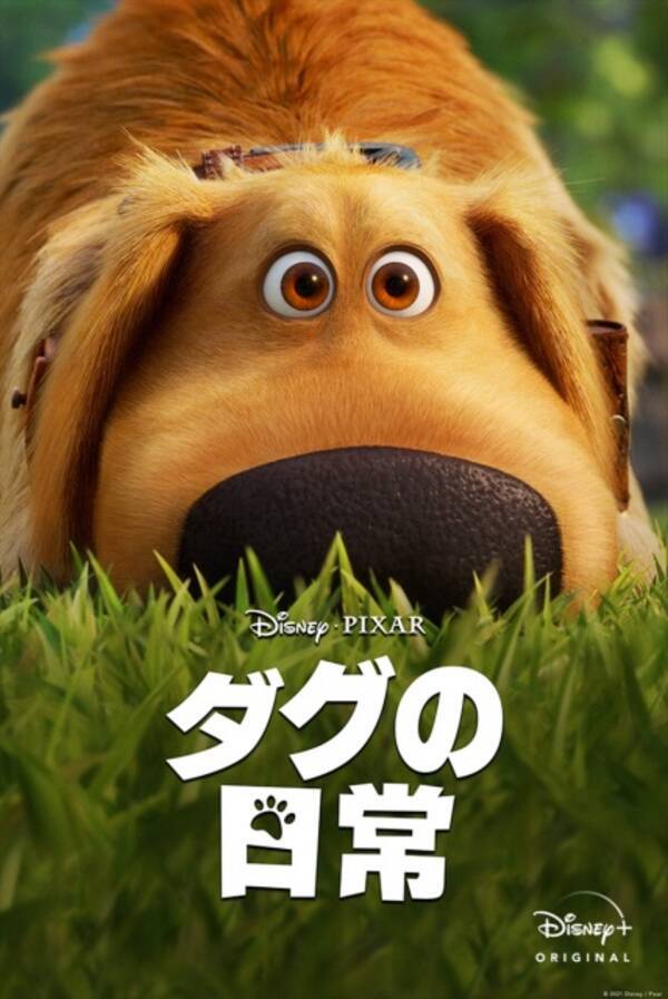 カールじいさん家のしゃべる犬 ダグの短編アニメ ディズニープラスで配信 21年9月2日 エキサイトニュース