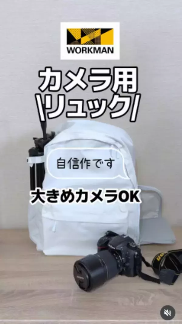 ワークマン、4900円の「カメラバッグ」“即完売”に驚き「自信作ではありましたが」　再販の可能性を聞いた