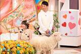 「『新婚さん』夫の第一印象は「侍みたいな人」→羊が“恋のキューピット”　現在は夫妻で東京ドーム約2個分の牧場営む」の画像1