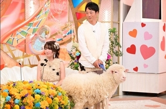 『新婚さん』夫の第一印象は「侍みたいな人」→羊が“恋のキューピット”　現在は夫妻で東京ドーム約2個分の牧場営む