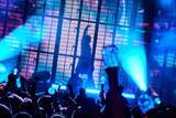 「Adoが『Lollapalooza』初出演　AIRBNBステージのトリで圧巻のパフォーマンス」の画像1