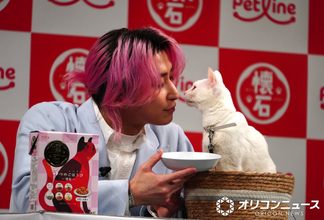 Snow Man佐久間大介、猫愛あふれるあいうえお作文で断言　人間は“かわいいだけじゃ”「全然ダメです！」