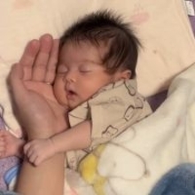 ”パパの手のひら”にフィットする、赤ちゃんの寝相事情「今まで見た赤ちゃんで1番可愛い」「ほっぺの柔らかさ伝わる」