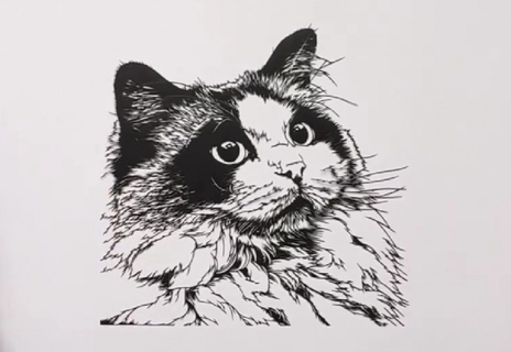 「これが一枚の紙から？」ふわふわの毛並みまで表現した“ラグドール”の切り絵　制作で苦労したのは「顔の模様と瞳」