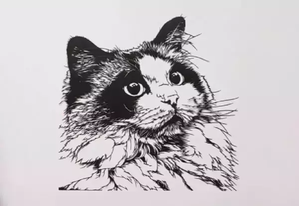 「これが一枚の紙から？」ふわふわの毛並みまで表現した“ラグドール”の切り絵　制作で苦労したのは「顔の模様と瞳」
