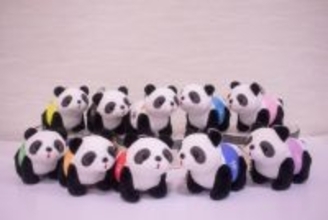 浅草花やしき名物「パンダカー」が10色に　“推しカラー”で楽しむ新グッズ登場