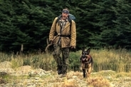 ブラッド・ピット主演、映画『ハート・オブ・ビースト』予告公開　義足の元軍用犬とアラスカから生還目指す