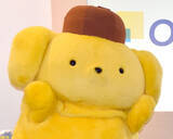 「『ハンター×ハンター』冨樫義博、ポムポムプリン描きネット衝撃「サンリオさん、グッズ化頼みます」」の画像1