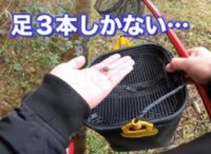 山奥で見つけた “3本足”のカニ、3度脱皮した結果…9ヵ月間の飼育記録に「生命の神秘！」「感動です…！」