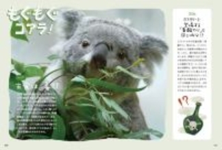 “究極のコアラ愛蔵書”が発売　各動物園のコアラの耳・鼻のサイズの初計測データを収録