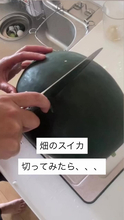 大きく育った畑のスイカを切ってみたら…まさかの展開に「悪魔の実ｗ？」「水戸黄門の紋所かと…！」