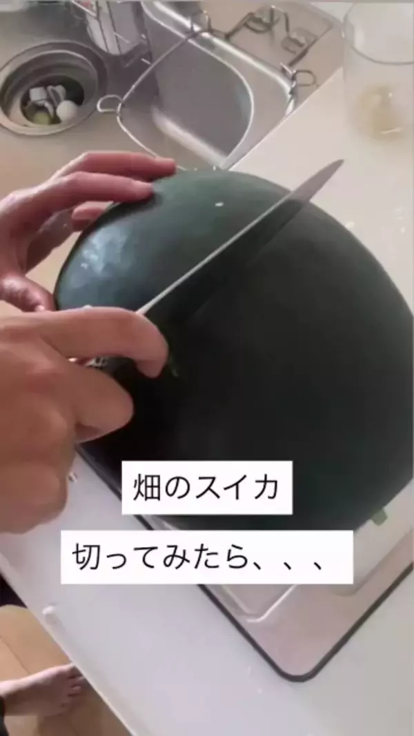 畑のスイカを切ってみたら…まさかの展開に1000万再生「えー！はじめて見たｗ」「水戸黄門の紋所かと…！」