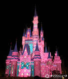 「シンデレラ城がミニーに染まる！　TDL『ミニー×パルパル』で特別演出「ファンダーナイト」実施」の画像1