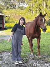 上島竜兵さんの妻・広川ひかる「竜ちゃんいないのつまんないな」 31回目の結婚記念日に亡き夫へ想い