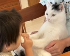“くんくんくん”2歳男児が猫の“肉球”の魅力に気がづいた瞬間　猫の表情「お主、できるな！」