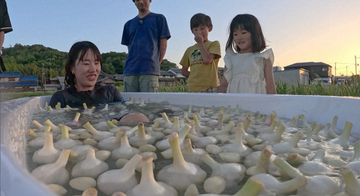 今夜『探偵！ナイトスクープ』湯船に大量のにんにく…「なんやこれは!?」困惑　体からもにんにく臭の依頼者が最後の別れ