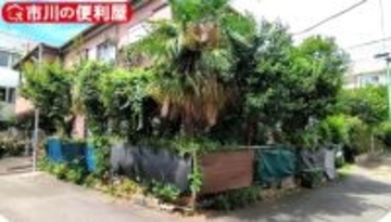 30年放置されジャングル化した都内の一軒家、大伐採した結果…2日後の姿に「別世界！」「通常なら30万案件」