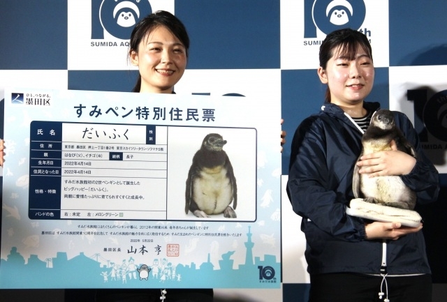 ペンギンへ特別住民票を贈呈