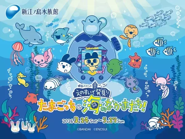 「新江ノ島水族館」にたまごっちが登場　“あぽろっち”そっくりなウーパールーパーも