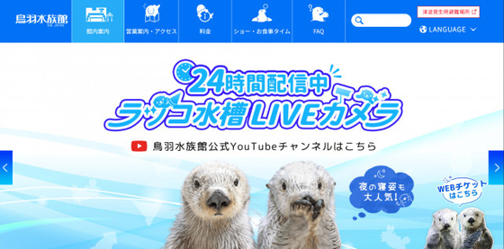 国内で2頭…ラッコのメイに「大切なお知らせ」　鳥羽水族館「体力の衰えが見えはじめています」　今後の公開とお願いについて説明