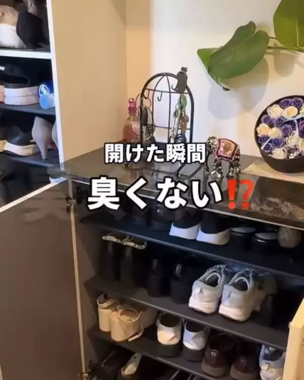「開けたら臭い…」下駄箱＆靴の匂い＆湿気カビも　梅雨前の“対策”に「え、めっちゃ良い」「これすごい」