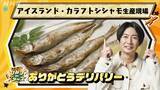 「相葉雅紀、カラフトシシャモ漁獲の裏側知り驚く「偶然じゃなかったんですね」　日本で食べられるようになったワケに迫る」の画像1