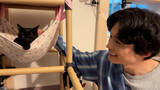 「SixTONES・松村北斗、2匹の保護猫にメロメロ　ダーリンハニー・長嶋のもとを訪問」の画像1