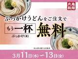 「丸亀製麺『ぶっかけうどん』注文でもう一杯『ぶっかけうどん』がもらえる　全8種の無料薬味とトッピングで自分好みの一杯を」の画像1