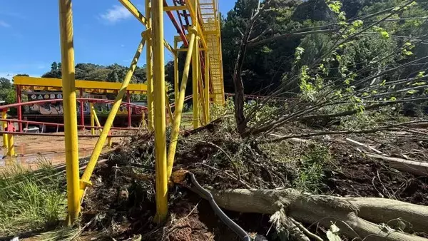 【都心で37日連続雨】東京ドイツ村、来園者の減少が深刻に　大型連休は前年の1割　ジェットコースターには土砂流入…　コスモスに“望み”