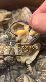 「スーパーで買ったアサリから“ひょっこり”現れた生物に「はじめて見た！」「回転ずしの味噌汁にいたのコレだったの？」」の画像1