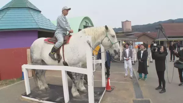 世界最大級の馬がいる…大阪府内に甲子園球場“約7倍”の牧場　同年生まれ芸人がロケ『大阪ほんわかテレビ』