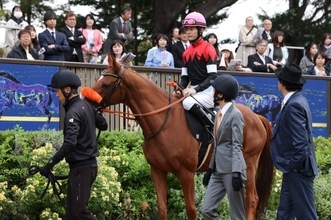 『ザ・ロイヤルファミリー』最終回ぬいぐるみ話題　作戦会議に登場「可愛すぎる！」「商品化して！」