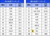 「ペットの名前ランキング発表　犬・猫ともに1位は同じ名前に　犬は6年連続、猫は昨年3位が返り咲き」の画像1