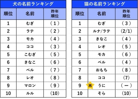 ペットの名前ランキング発表　犬・猫ともに1位は同じ名前に　犬は6年連続、猫は昨年3位が返り咲き