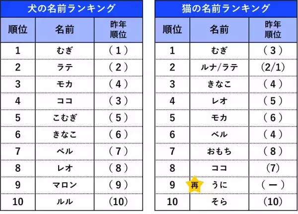 ペットの名前ランキング発表　犬・猫ともに1位は同じ名前に　犬は6年連続、猫は昨年3位が返り咲き