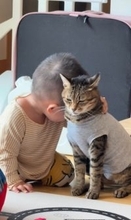 赤ちゃんからの“重すぎる愛”を受け止める猫…習性の「すりすり」を"される”側に「いつも子守りありがとうございます」