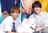 「ACEes深田竜生＆浮所飛貴、愛犬のサモエドにメロメロ「めちゃくちゃかわいい」」の画像1