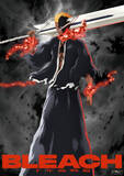 「『BLEACH』黒崎一護の新たな形態「血鎖の一護」登場　半虚化で卍解！斬魄刀と変化した究極の姿」の画像1