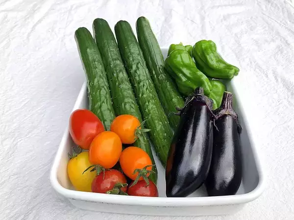 「知らなかった！」トマトもピーマンも、キユーピーが紹介した『冷凍保存できる野菜』【保存版】