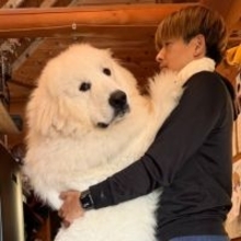 「巨大化が止まらない」生後11ヶ月の子犬とは思えない圧巻の成長ぶりにSNSが衝撃「これで子犬？」