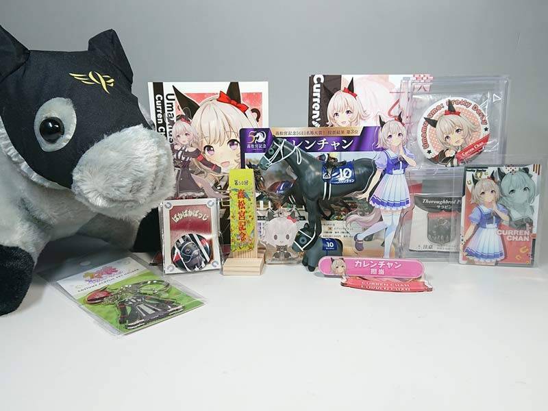 ウマ娘が結んだ親子の競馬ロマン　トウカイテイオー対メジロマックイーンのライバル馬券