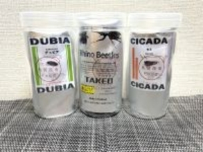 覚悟して食べた昆虫食　セミ・ゴキブリ・カブトムシの中で一番おいしかったのは？